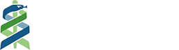 球探体育足球